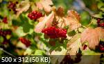 Best Mix Wallpapers 782