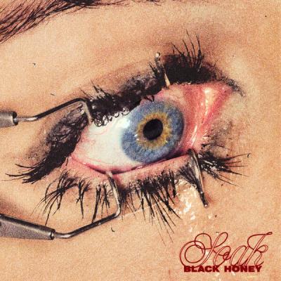 Black Honey - Soak (2025) [FLAC 24B-48kHz]