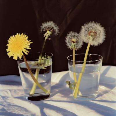 Hew - You Think You're The Only One (2025) [FLAC 16B-44.1kHz]