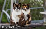 Mixturka - Wallpapers Collection 181