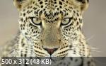 Mixturka - Wallpapers Collection 181