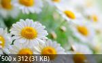 Mixturka - Wallpapers Collection 181