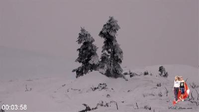[Image: 1a3c7148149077d84ad01c3003e88830.jpeg]