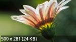 Best Mixture Wallpapers Collection 52