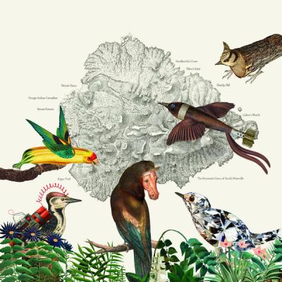 Friendly Rich - The Birds of Marsville (2025) [FLAC 24B-96kHz]
