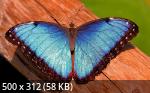 Mixturka - Wallpapers Collection 182