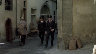   (2024)