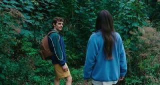   / Together (2025/WEB-DL/WEB-DLRip)