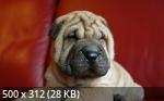 Mixturka - Wallpapers Collection 184
