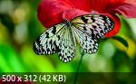 Best Mixture Wallpapers Collection 54