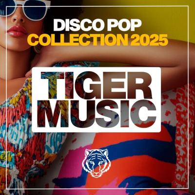 Various Artists - Disco Pop Collection 2025 (2025) [FLAC 16B-44.1kHz]