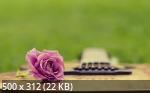 Best Mix Wallpapers 784