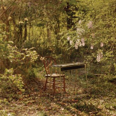 Luke Schneider - For Dancing In Quiet Light (2025) [FLAC 16B-44.1kHz]