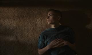   / Sovereign (2025/WEB-DL/WEB-DLRip)
