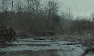   / Sovereign (2025/WEB-DL/WEB-DLRip)
