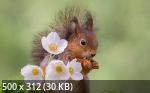 Best Mixture Wallpapers Collection 55