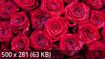 Best Mixture Wallpapers Collection 55