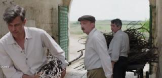    (2024)