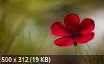 Best Wallpapers Mix Collection 02