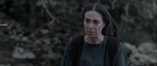  (2023)