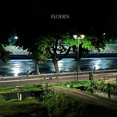 Moselyst - Floden (2025) [FLAC 24B-44.1kHz]