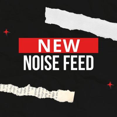 Various Artists - New Noise Feed (2025) [FLAC 16B-44.1kHz]