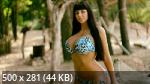 Women for Wallpapers 564