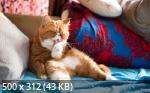 Mixturka - Wallpapers Collection 190