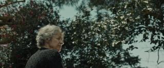  (2023)