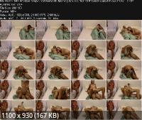 Onlyfans - Amateur Couple had Romantic Morning Sex and their Girlfriend Sneaked to see it Live LC CPL (FullHD/1080p/208 MB)