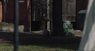  (2024)