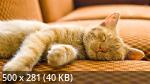 Mixturka - Wallpapers Collection 191
