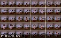 StripzVR - Stefani Petite Perfection (UltraHD/4K/2880p/1.96 GB)
