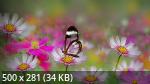 Mixturka - Wallpapers Collection 191