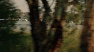    (2023)