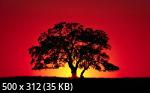 Best Wallpapers Mix Collection 05