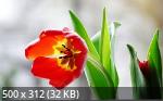 Mixturka - Wallpapers Collection 192