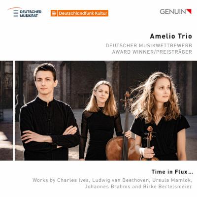 Amelio Trio - Time in Flux (2025) [FLAC 24B-96kHz]