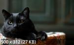 Mixturka - Wallpapers Collection 193