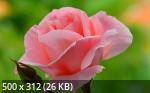 Best Mixture Wallpapers Collection 58