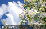 Best Wallpapers Mix Collection 06