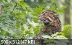 Mixturka - Wallpapers Collection 193