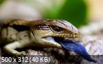 Mixturka - Wallpapers Collection 193