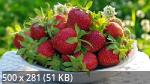 Best Mix Wallpapers 788