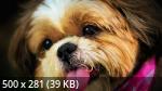 Best Mix Wallpapers 788