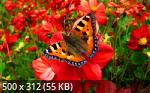 Best Mix Wallpapers 788
