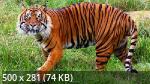 Best Mix Wallpapers 788