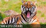 Best Mix Wallpapers 788