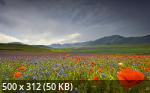 Mixturka - Wallpapers Collection 194