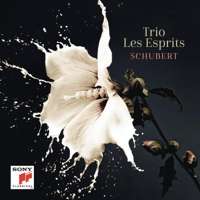 Trio Les Esprits - Schubert (2019) [FLAC 24B-192kHz]